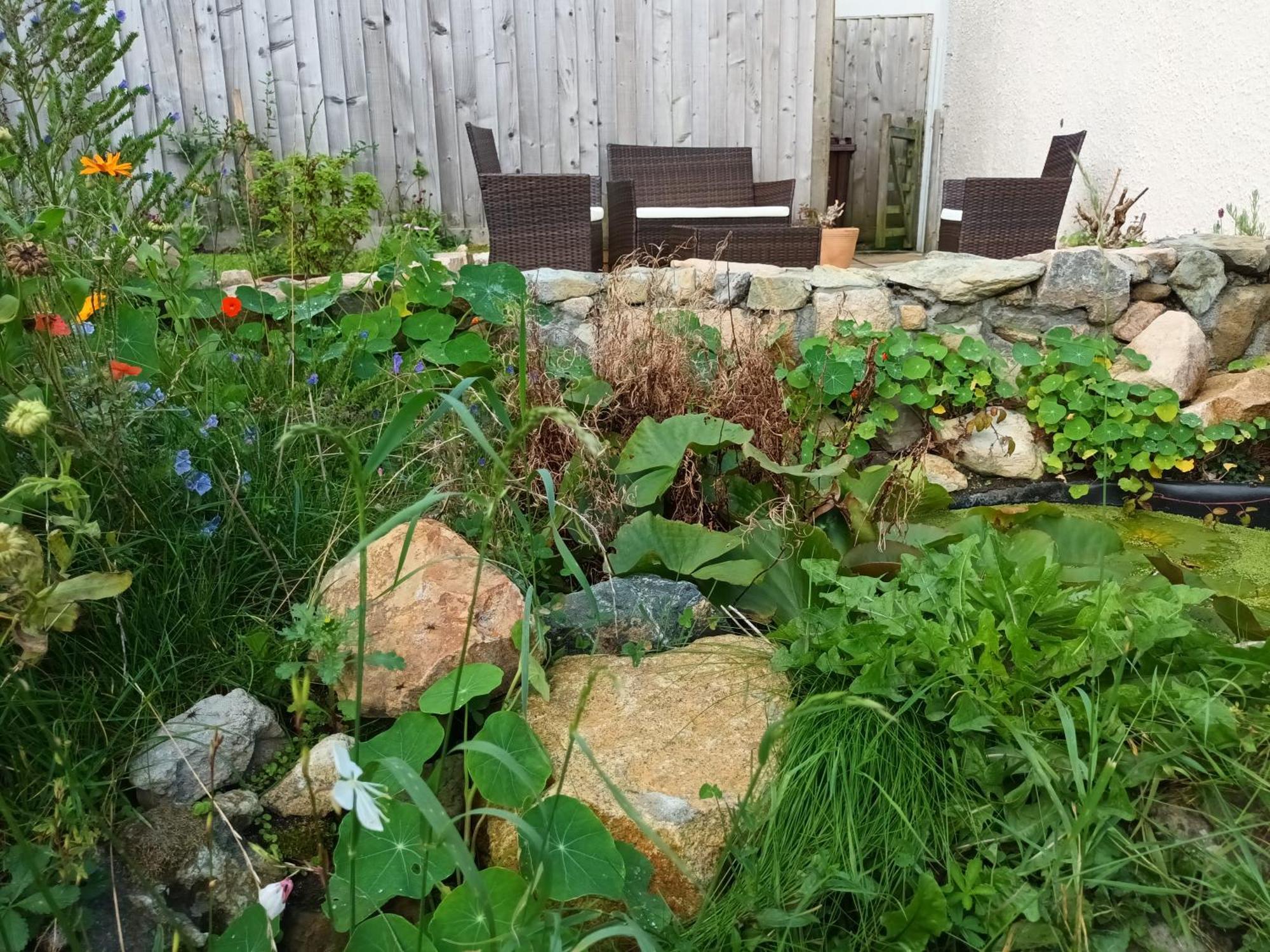 Sunrise! ~ 2 Bedrooms, Garden, Parking, Sea Views St Ives Zewnętrze zdjęcie